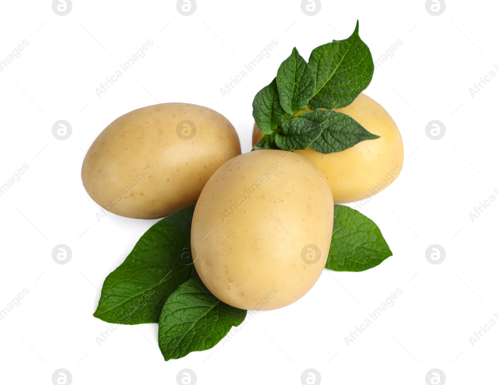 Photo of Fresh raw potatoes and green leaves isolated on white