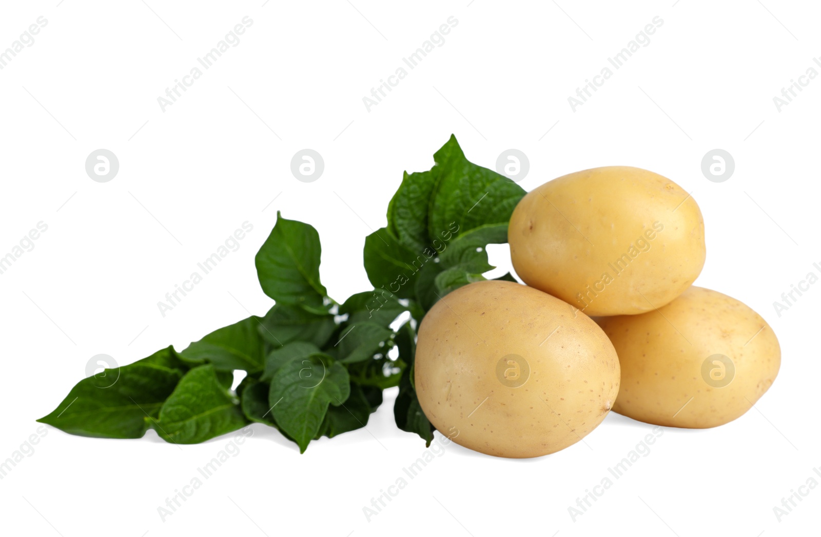 Photo of Fresh raw potatoes and green leaves isolated on white