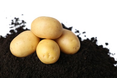 Photo of Fresh raw potatoes and soil isolated on white