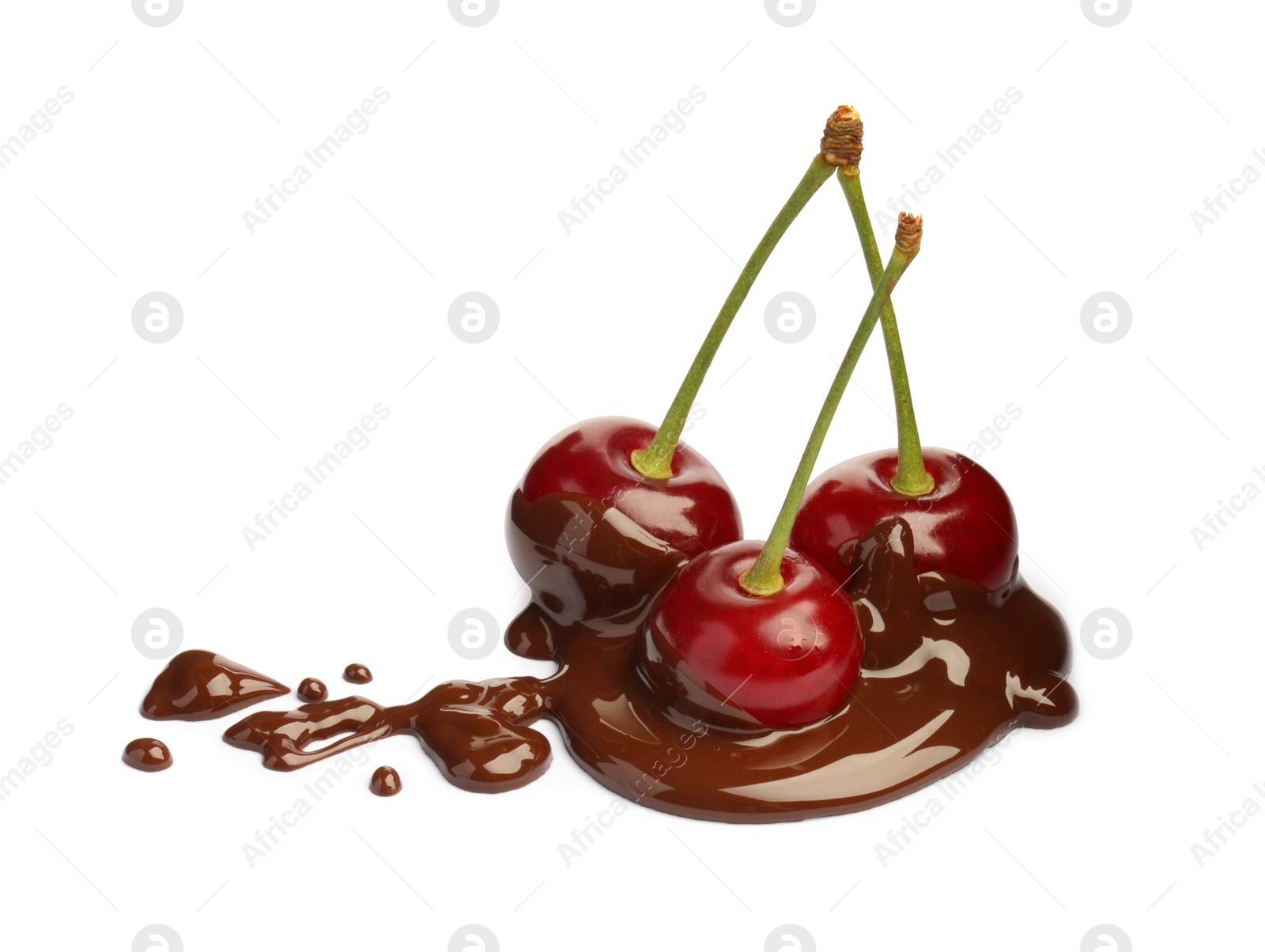 Photo of Fresh cherries with melted chocolate isolated on white