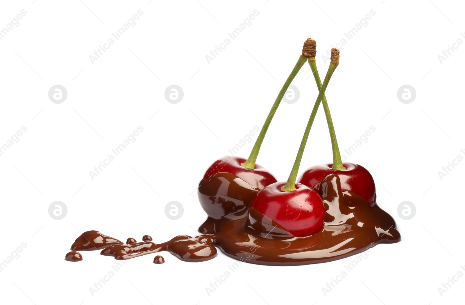 Photo of Fresh cherries with melted chocolate isolated on white