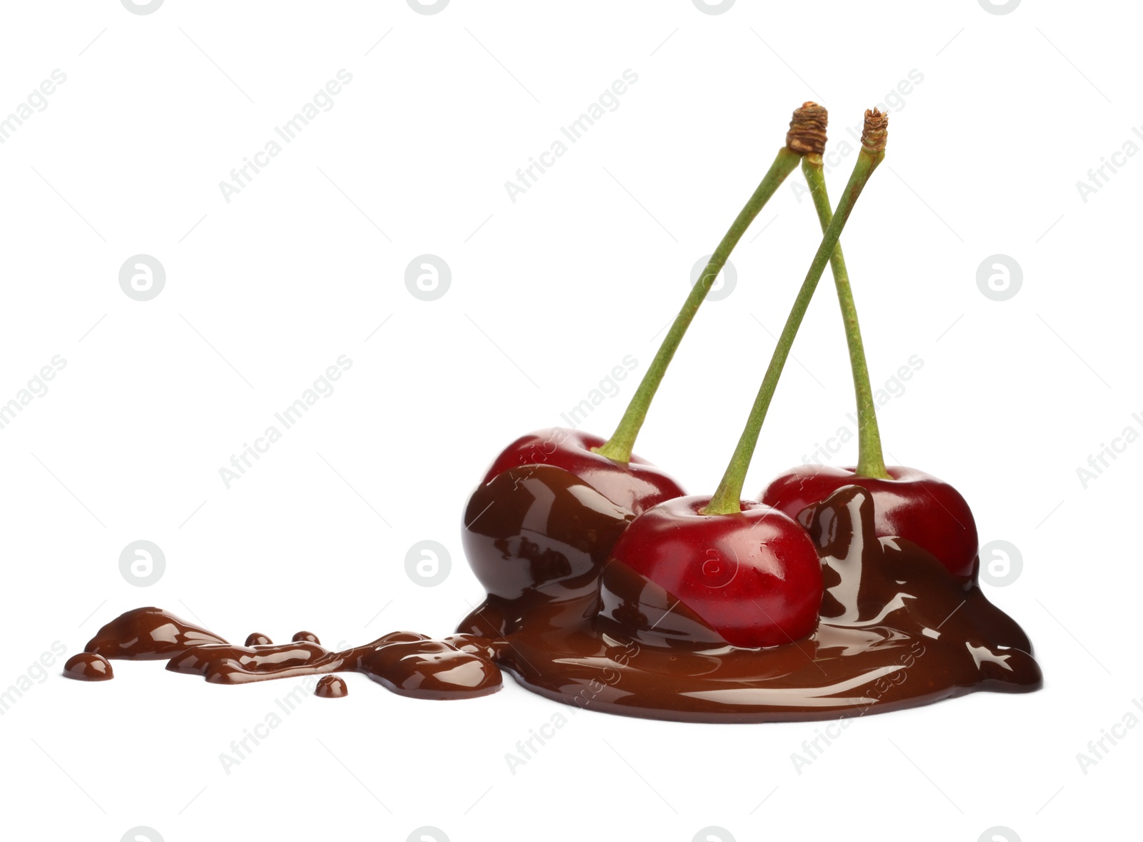 Photo of Fresh cherries with melted chocolate isolated on white