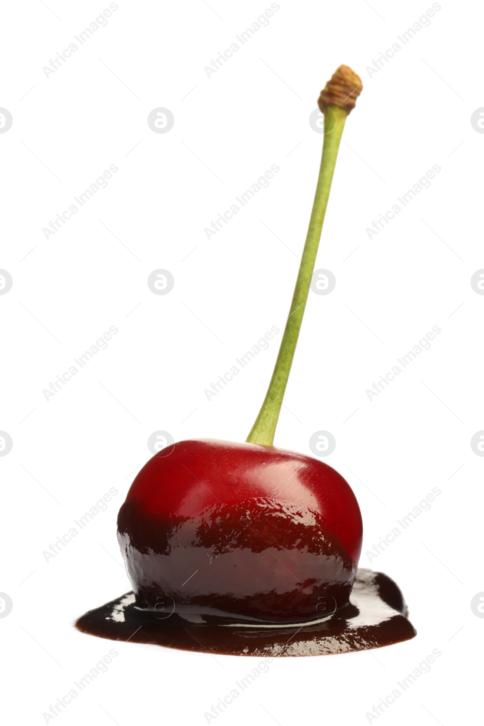 Photo of Fresh cherry with melted chocolate isolated on white