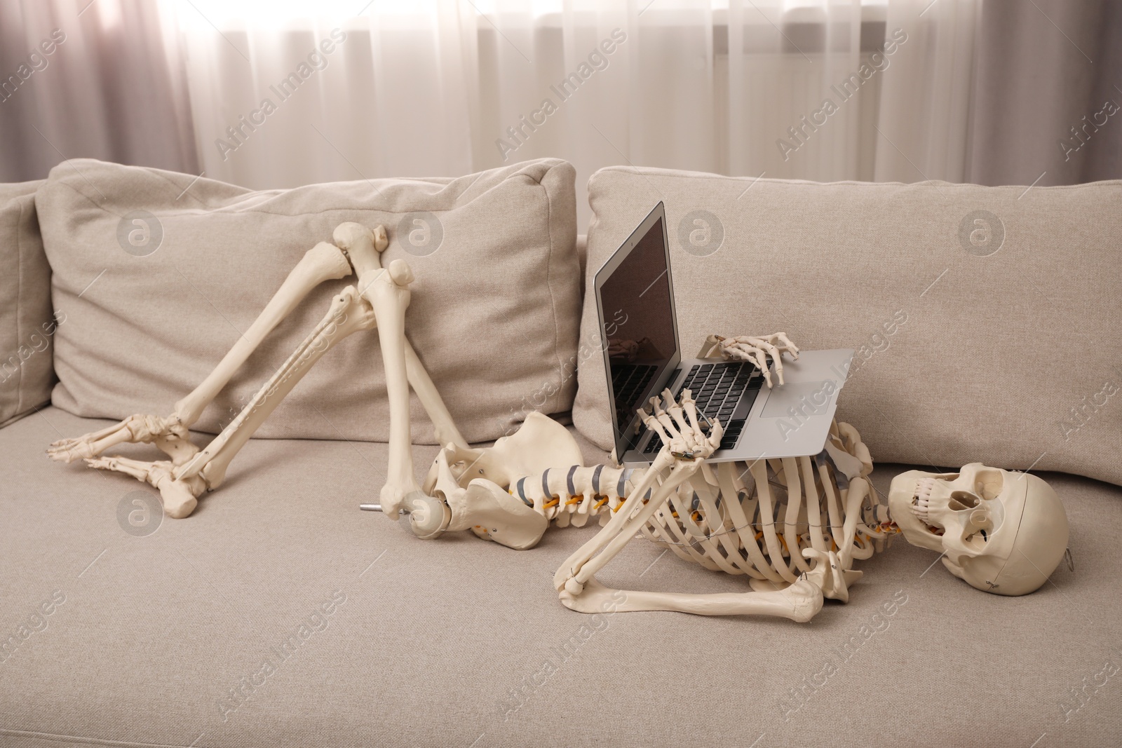 Photo of Waiting concept. Human skeleton with laptop on sofa indoors