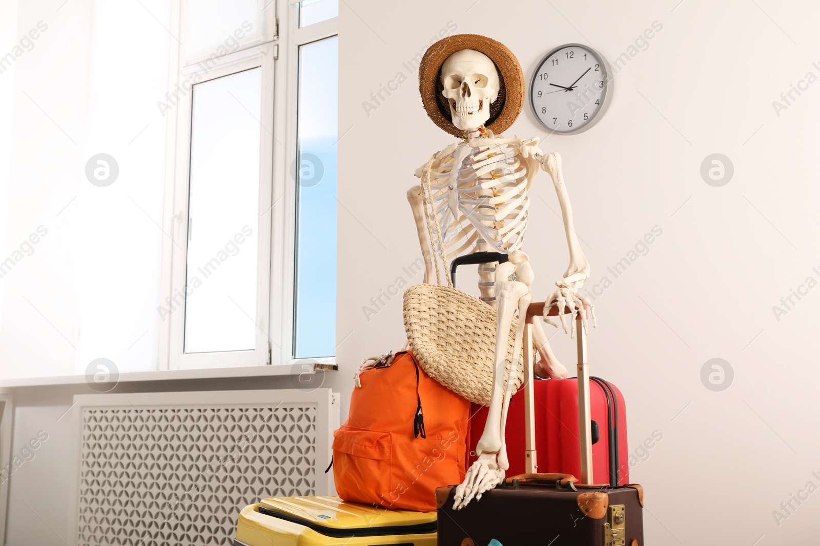 Photo of Waiting concept. Human skeleton in hat with suitcases indoors