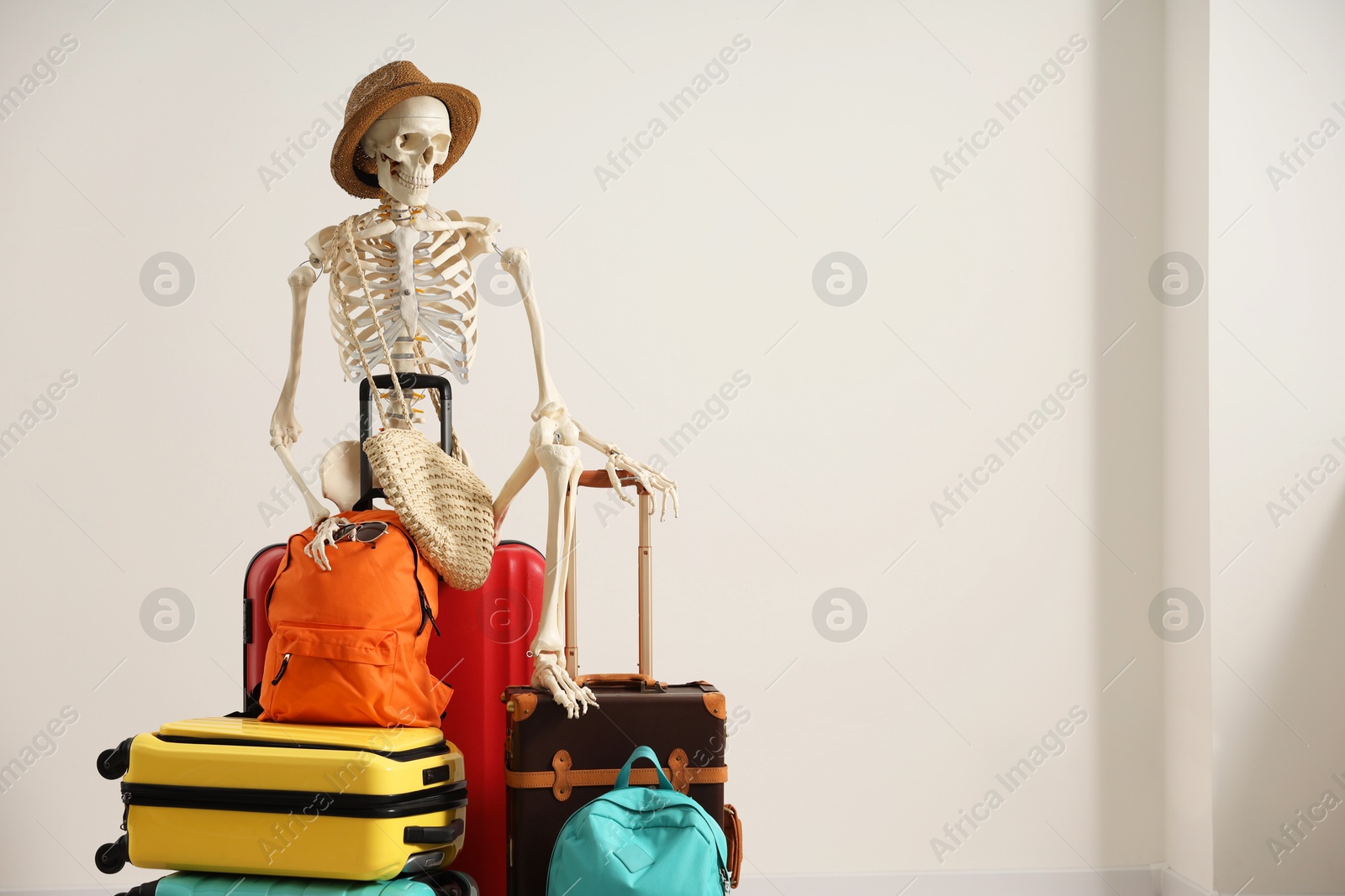 Photo of Waiting concept. Human skeleton in hat with suitcases indoors, space for text