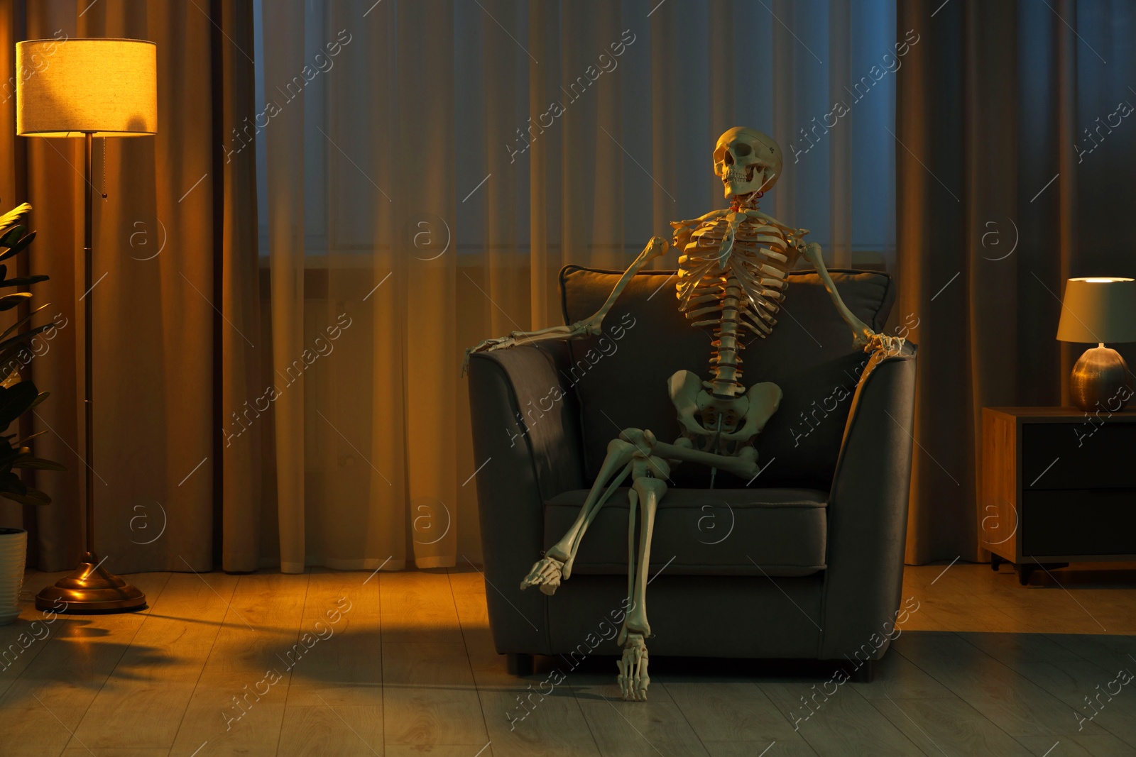 Photo of Waiting concept. Human skeleton sitting in armchair at home, space for text