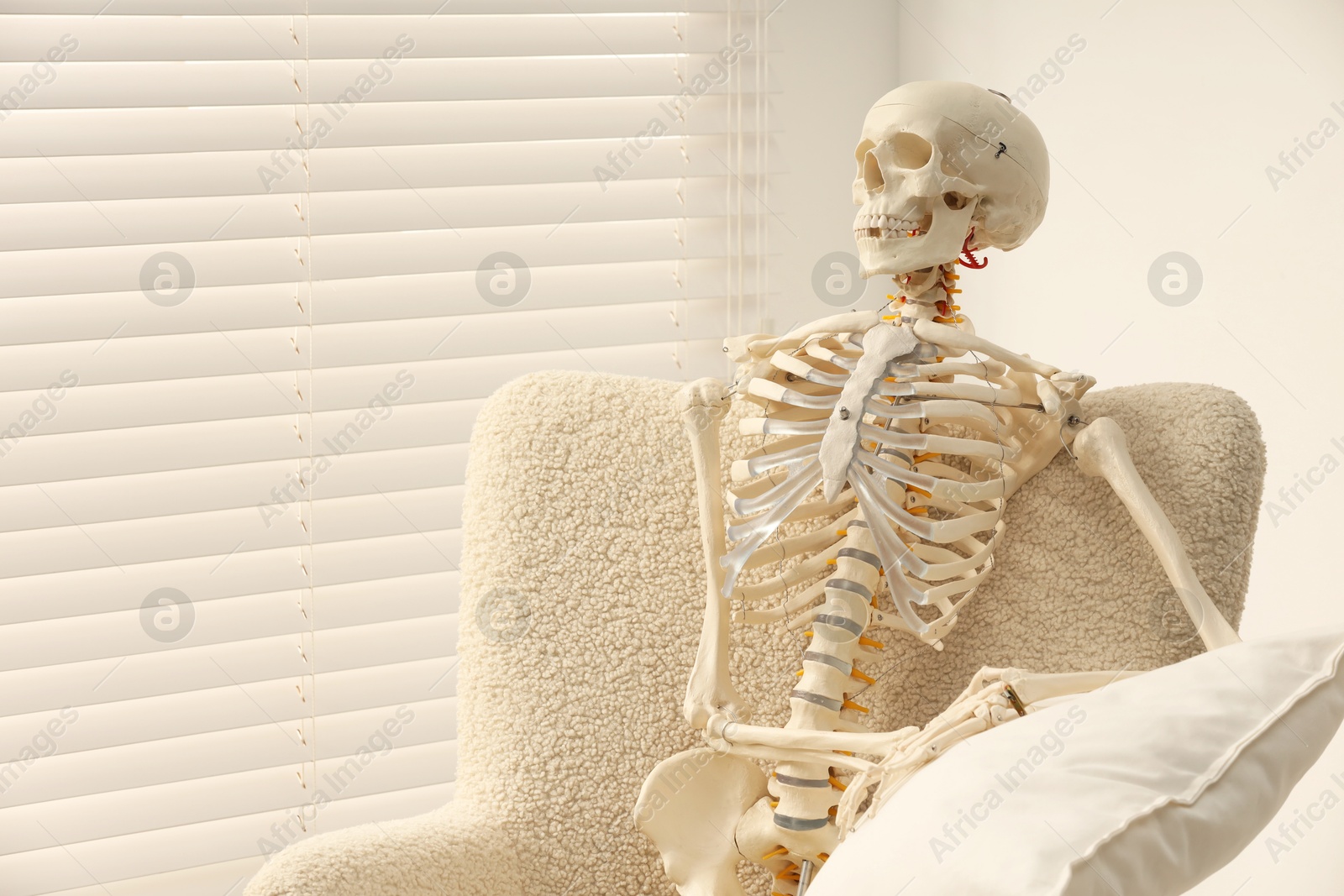 Photo of Waiting concept. Human skeleton sitting in armchair indoors, space for text