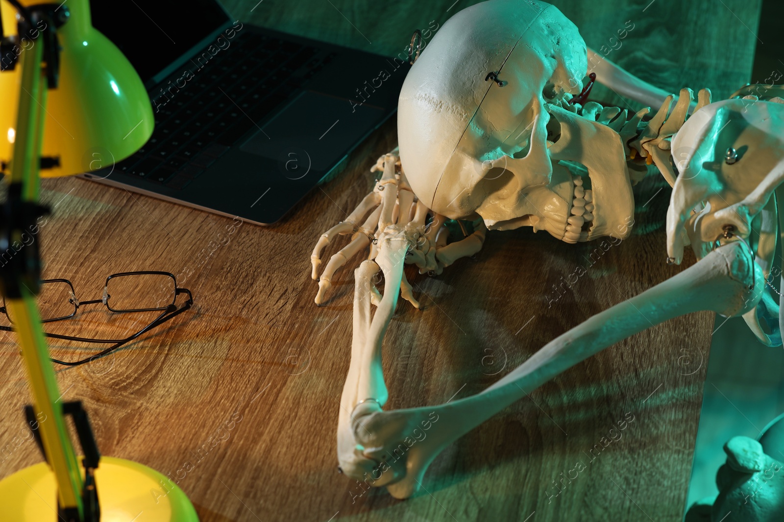 Photo of Waiting concept. Human skeleton sleeping at wooden table with laptop