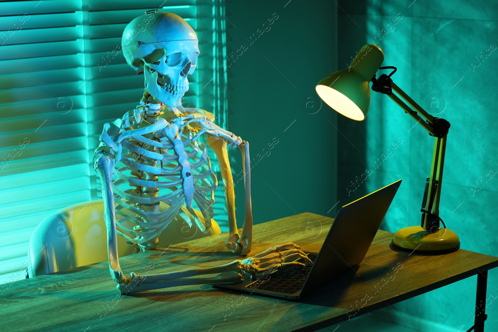 Photo of Waiting concept. Human skeleton sitting at wooden table with laptop indoors