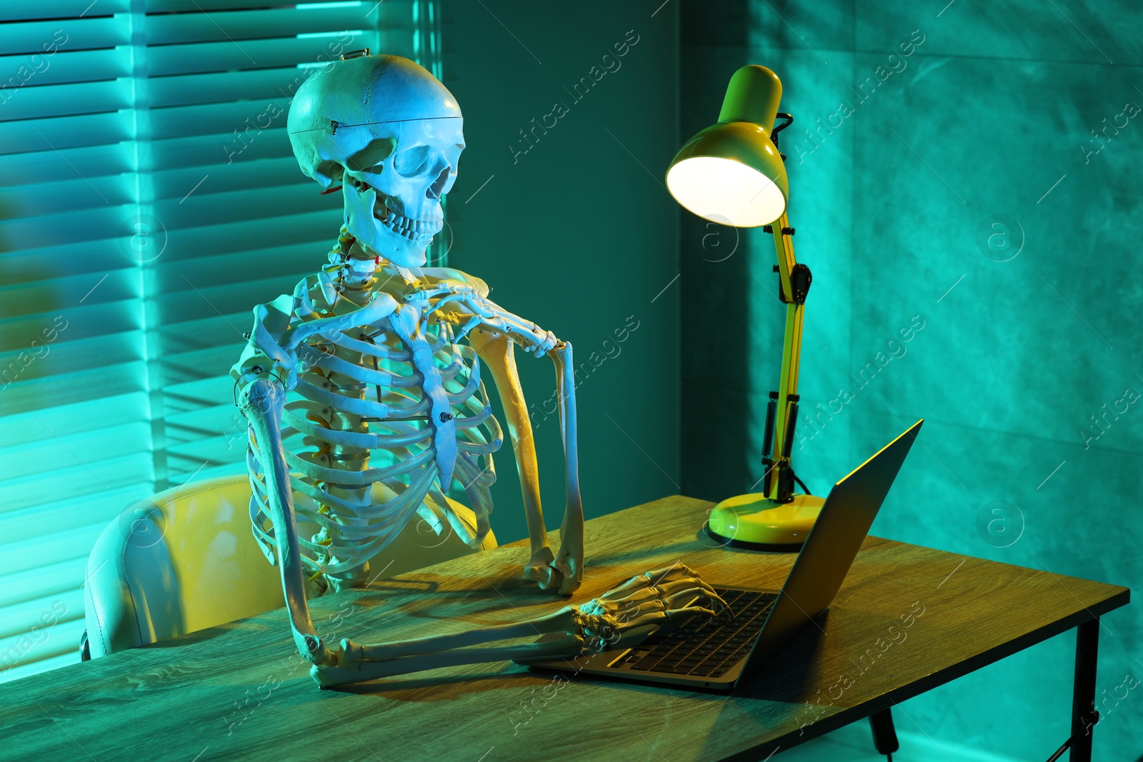 Photo of Waiting concept. Human skeleton sitting at wooden table with laptop indoors