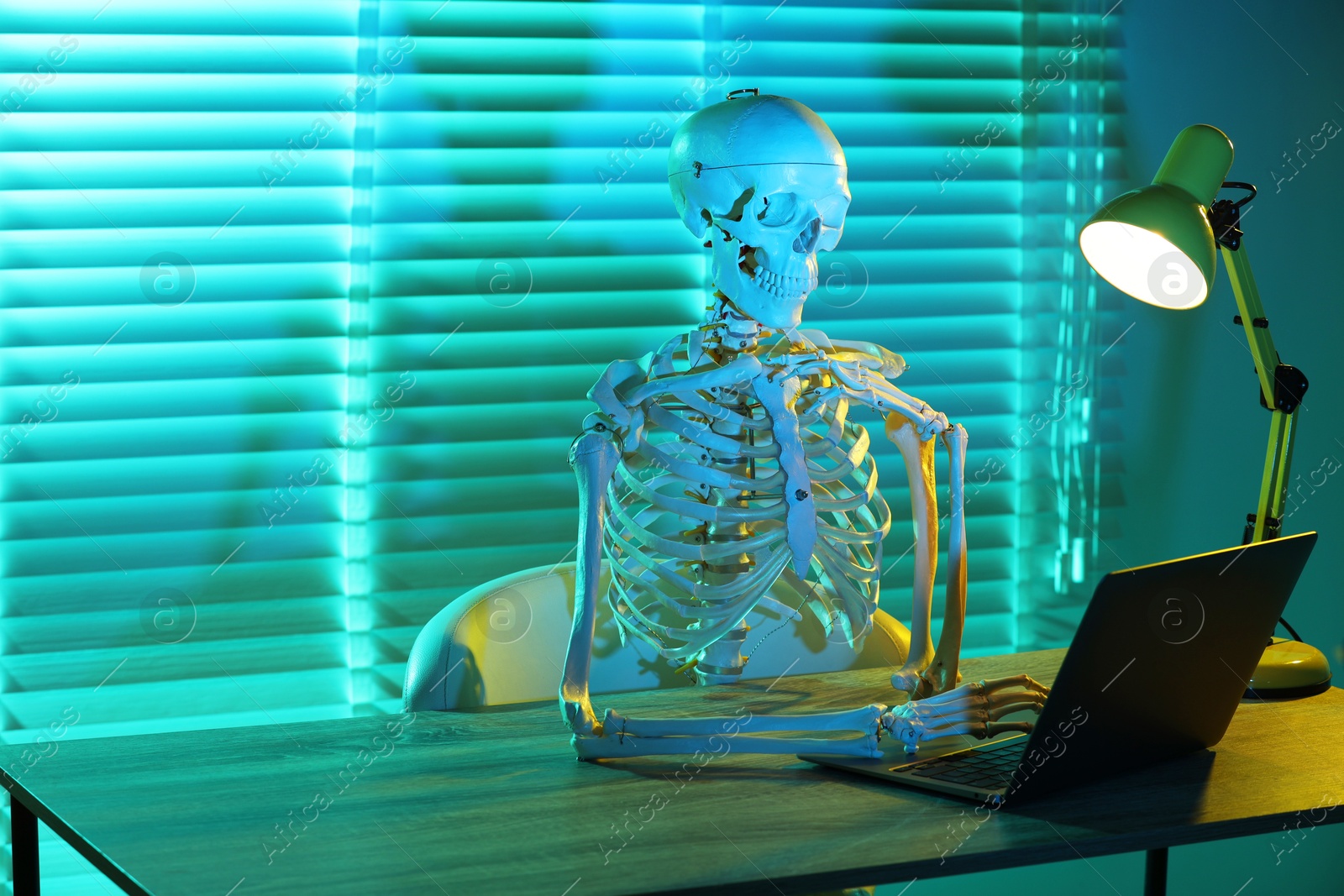 Photo of Waiting concept. Human skeleton sitting at wooden table with laptop indoors