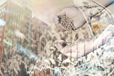 Image of Global grain crisis. Farmer with wheat seeds, dollar bills, office building and graph, multiple exposure