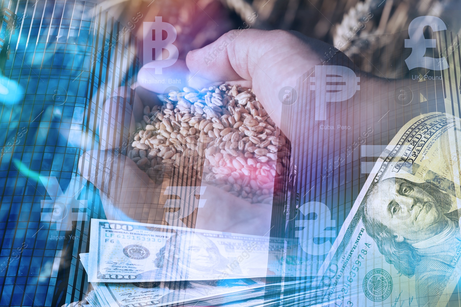 Image of Global grain crisis. Farmer with wheat seeds, dollar bills, currency symbols and office building, multiple exposure