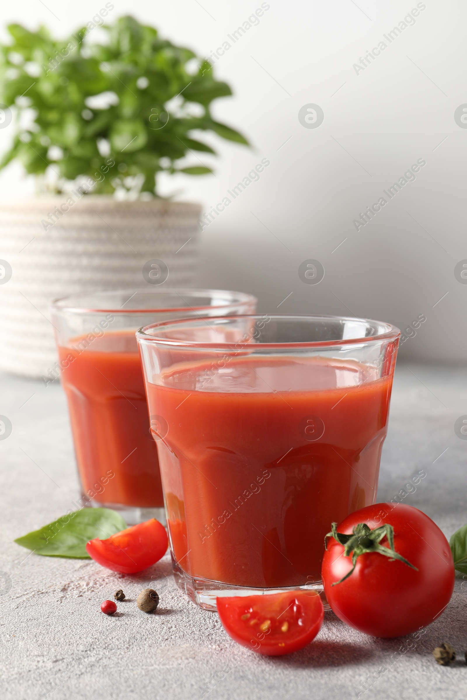 Photo of Tasty tomato juice in glasses, basil, peppercorns and fresh vegetables on light grey table