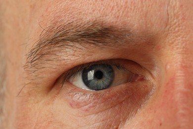 Photo of Macro photo of man with beautiful blue eyes