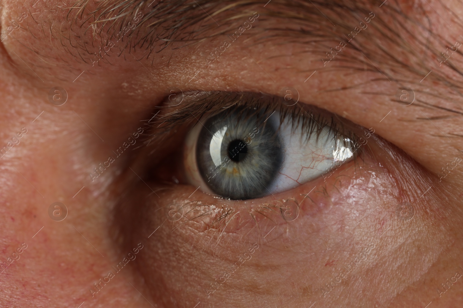 Photo of Macro photo of man with beautiful blue eyes