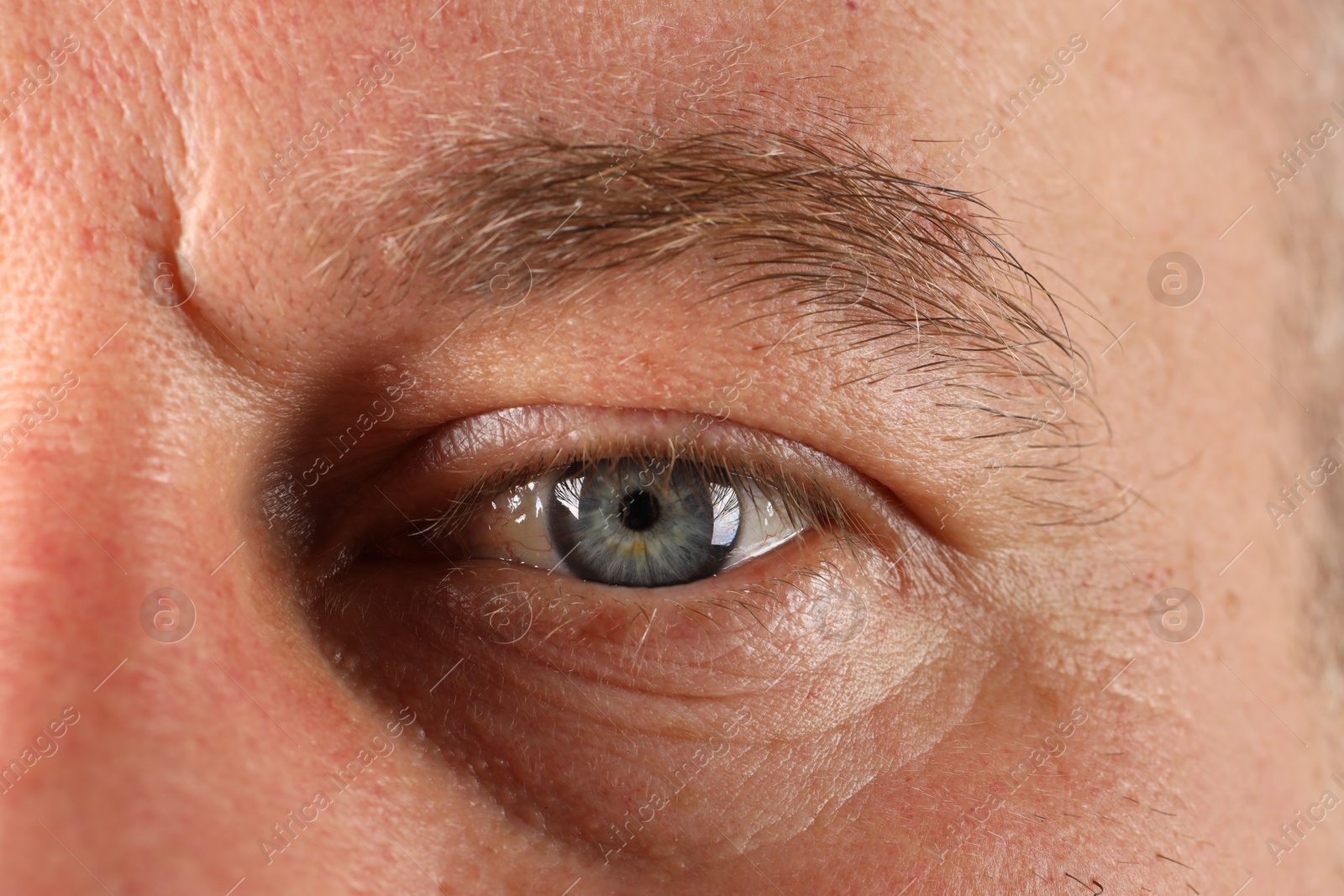 Photo of Macro photo of man with beautiful blue eyes