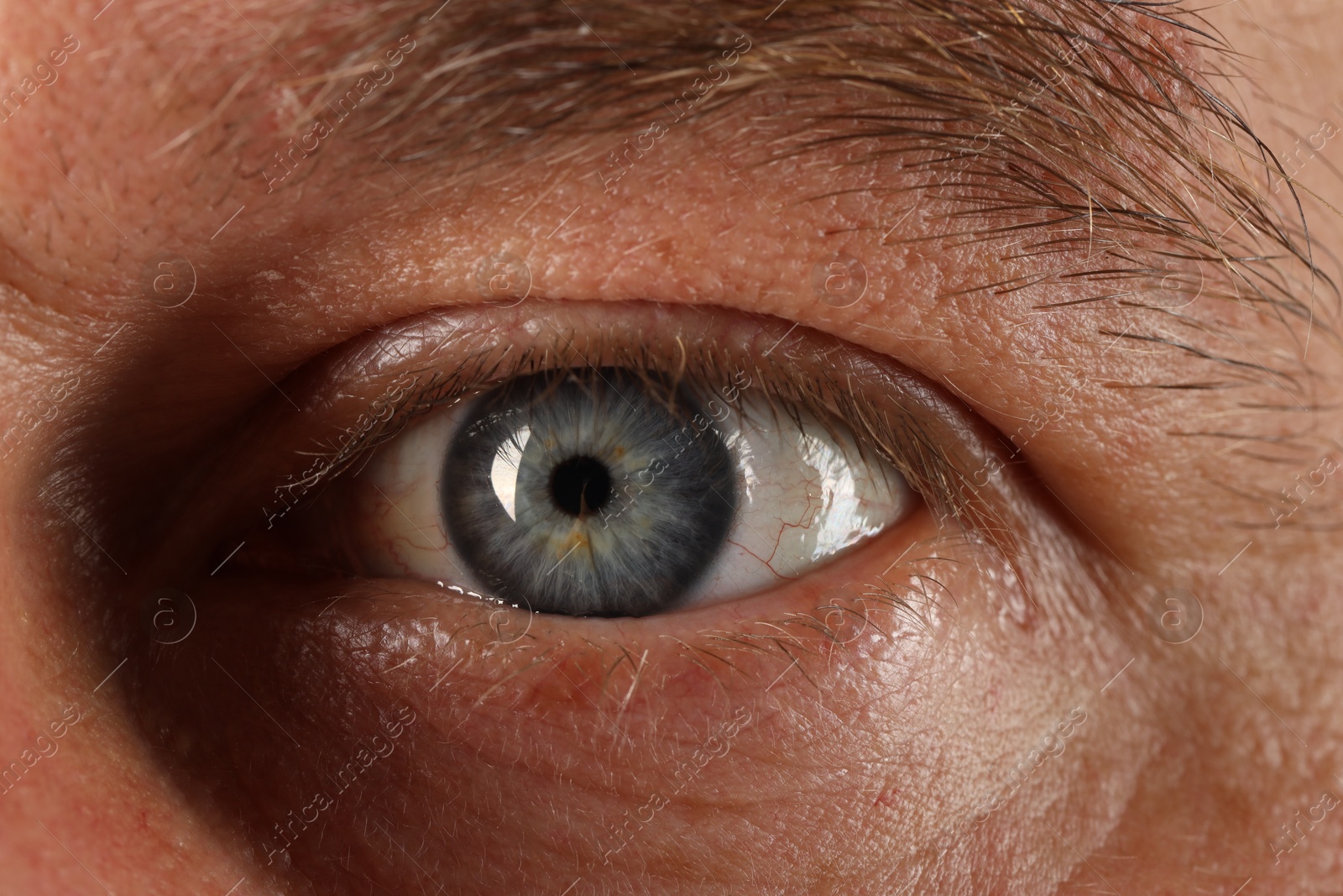 Photo of Macro photo of man with beautiful blue eyes