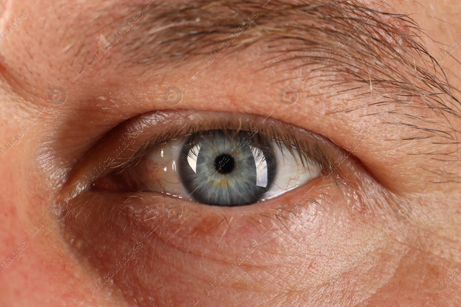 Photo of Macro photo of man with beautiful blue eyes