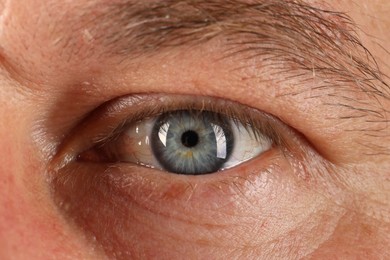 Macro photo of man with beautiful blue eyes