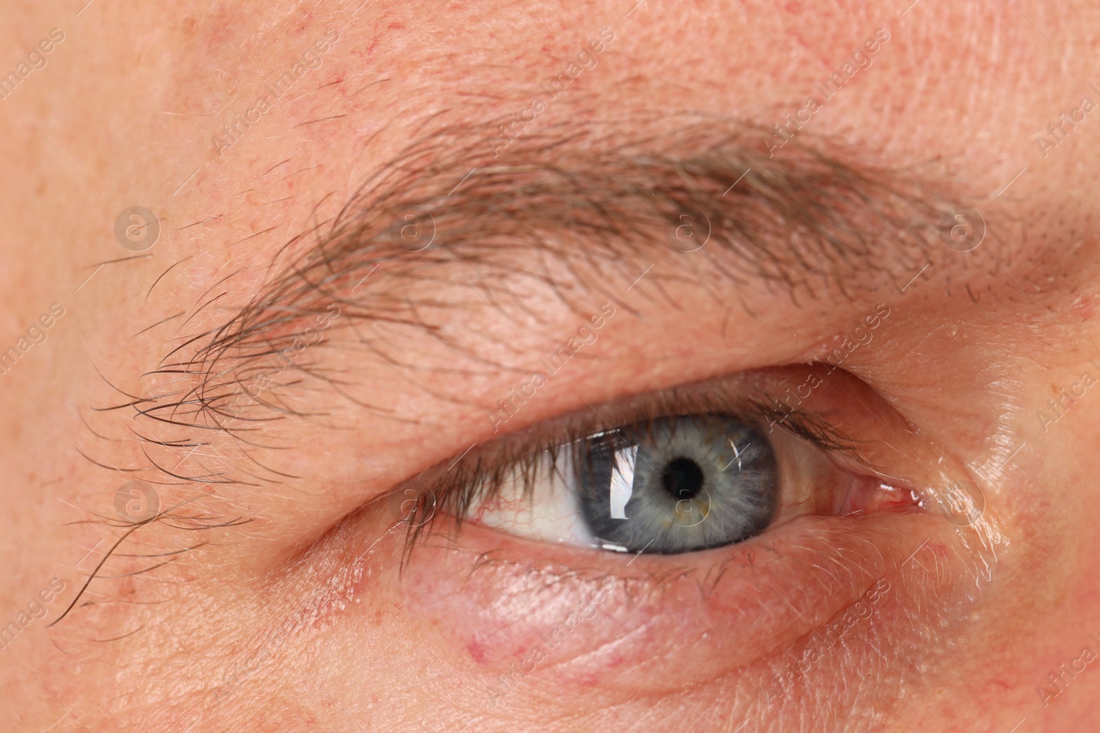 Photo of Macro photo of man with beautiful blue eyes