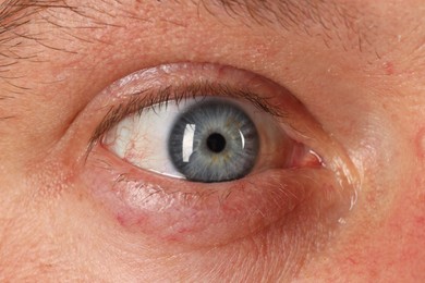 Macro photo of man with beautiful blue eyes