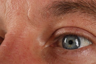 Photo of Macro photo of man with beautiful blue eyes