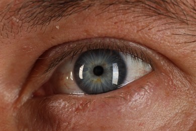 Photo of Macro photo of man with beautiful blue eyes