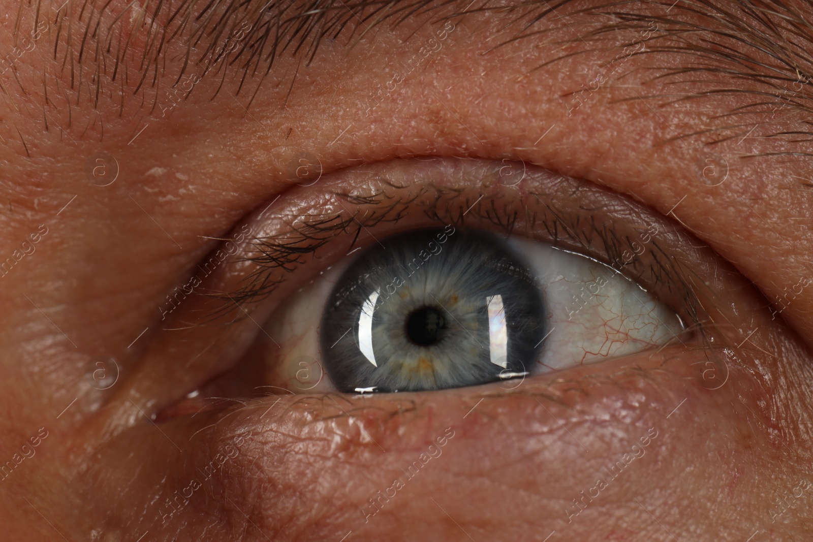 Photo of Macro photo of man with beautiful blue eyes