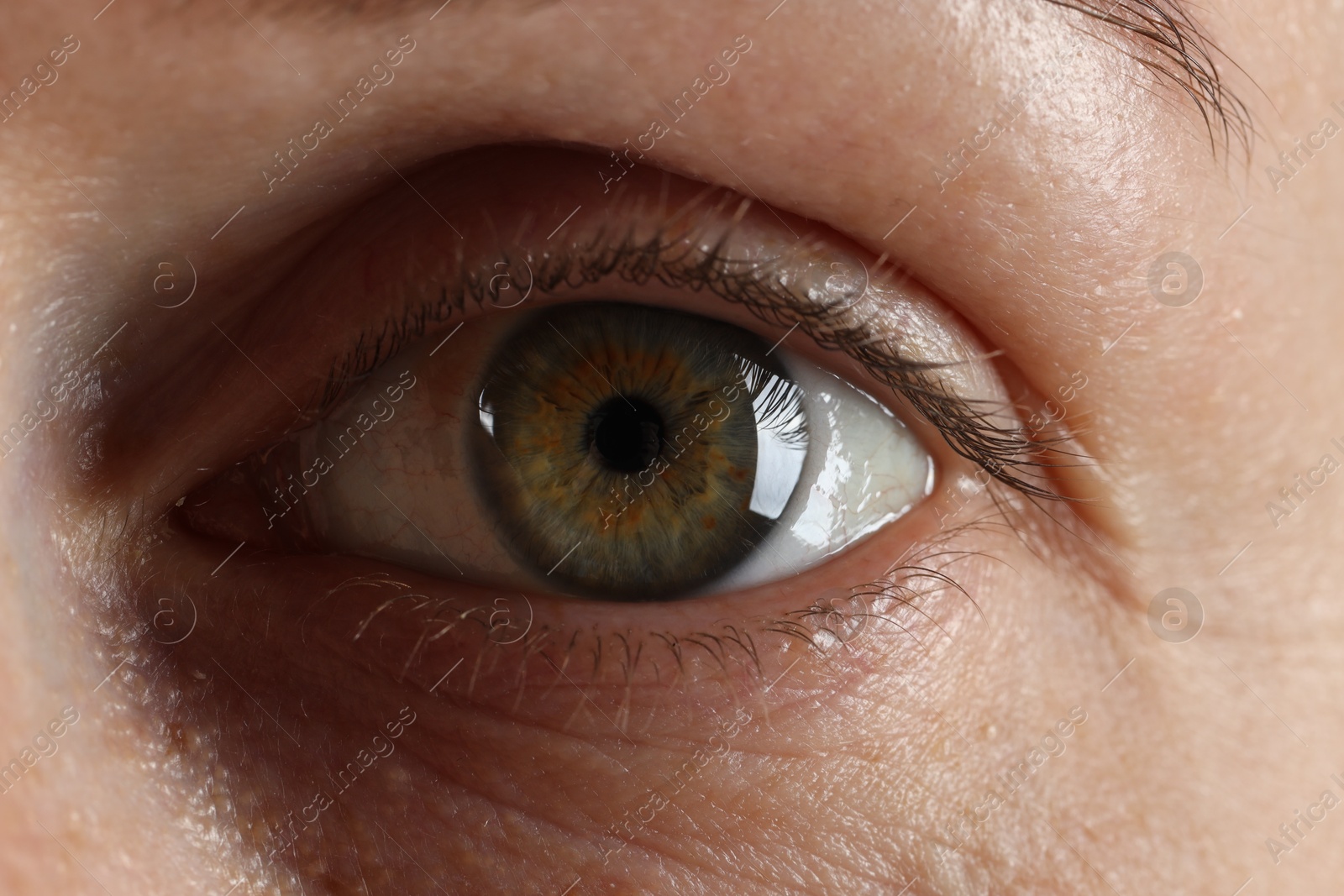 Photo of Macro photo of woman with beautiful green eyes