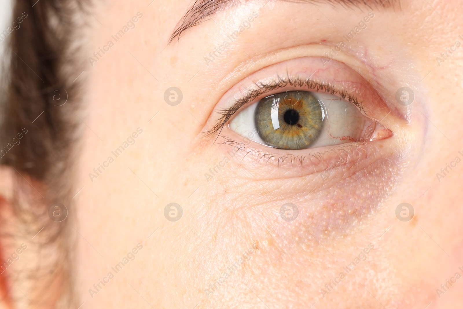 Photo of Macro photo of woman with beautiful green eyes