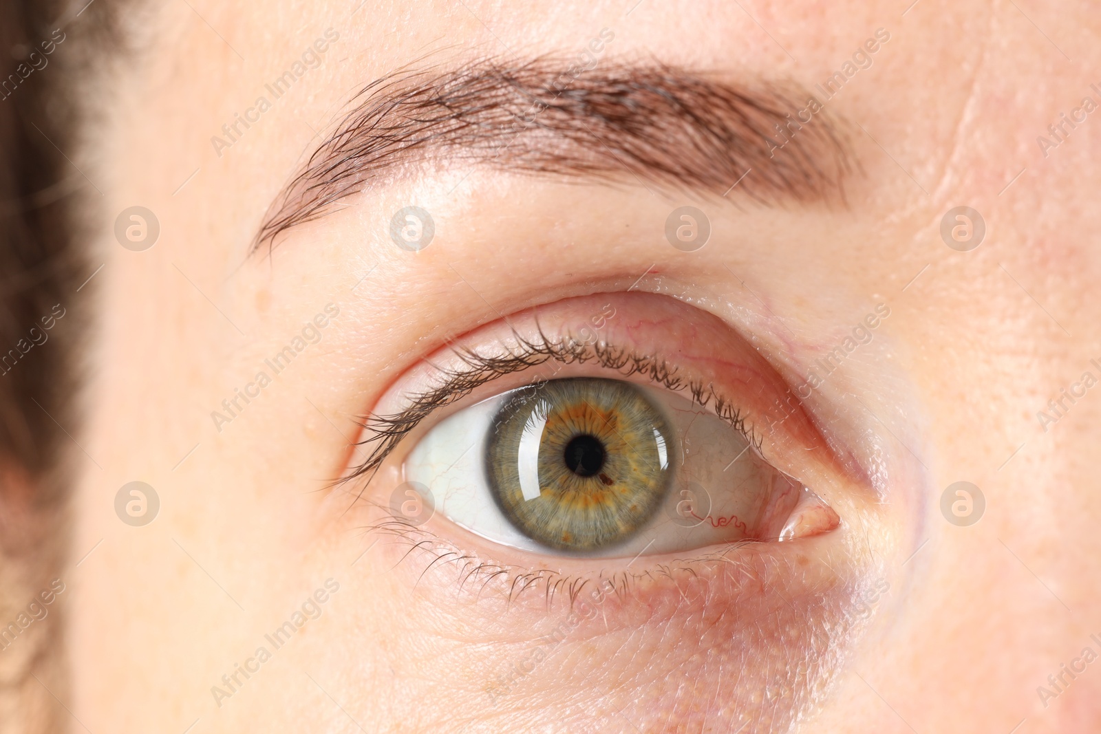 Photo of Macro photo of woman with beautiful green eyes