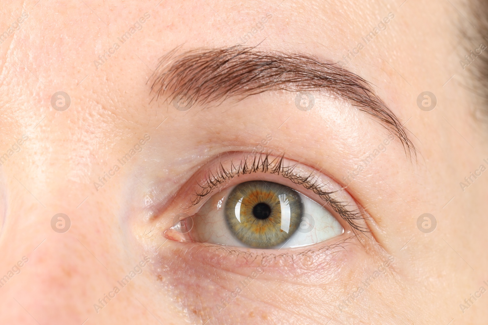 Photo of Macro photo of woman with beautiful green eyes