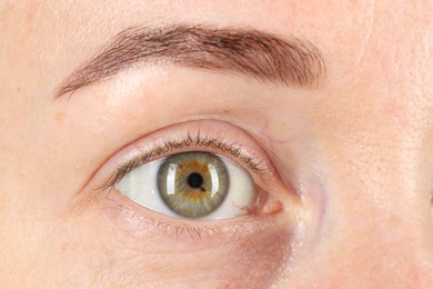 Macro photo of woman with beautiful green eyes