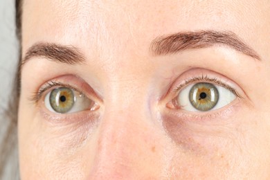 Woman with beautiful green eyes, closeup view