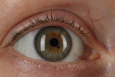 Macro photo of woman with beautiful green eyes