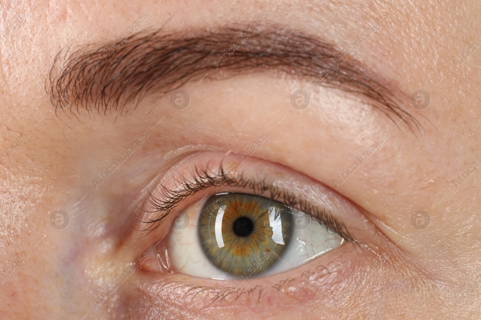 Photo of Macro photo of woman with beautiful green eyes