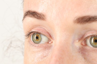 Woman with beautiful green eyes on light grey background, closeup