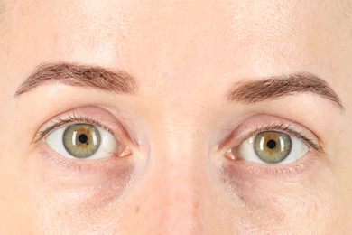 Photo of Woman with beautiful green eyes, closeup view