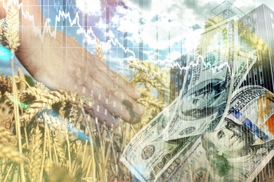 Image of Global grain crisis. Farmer in wheat field, dollar bills, office building and graph, multiple exposure