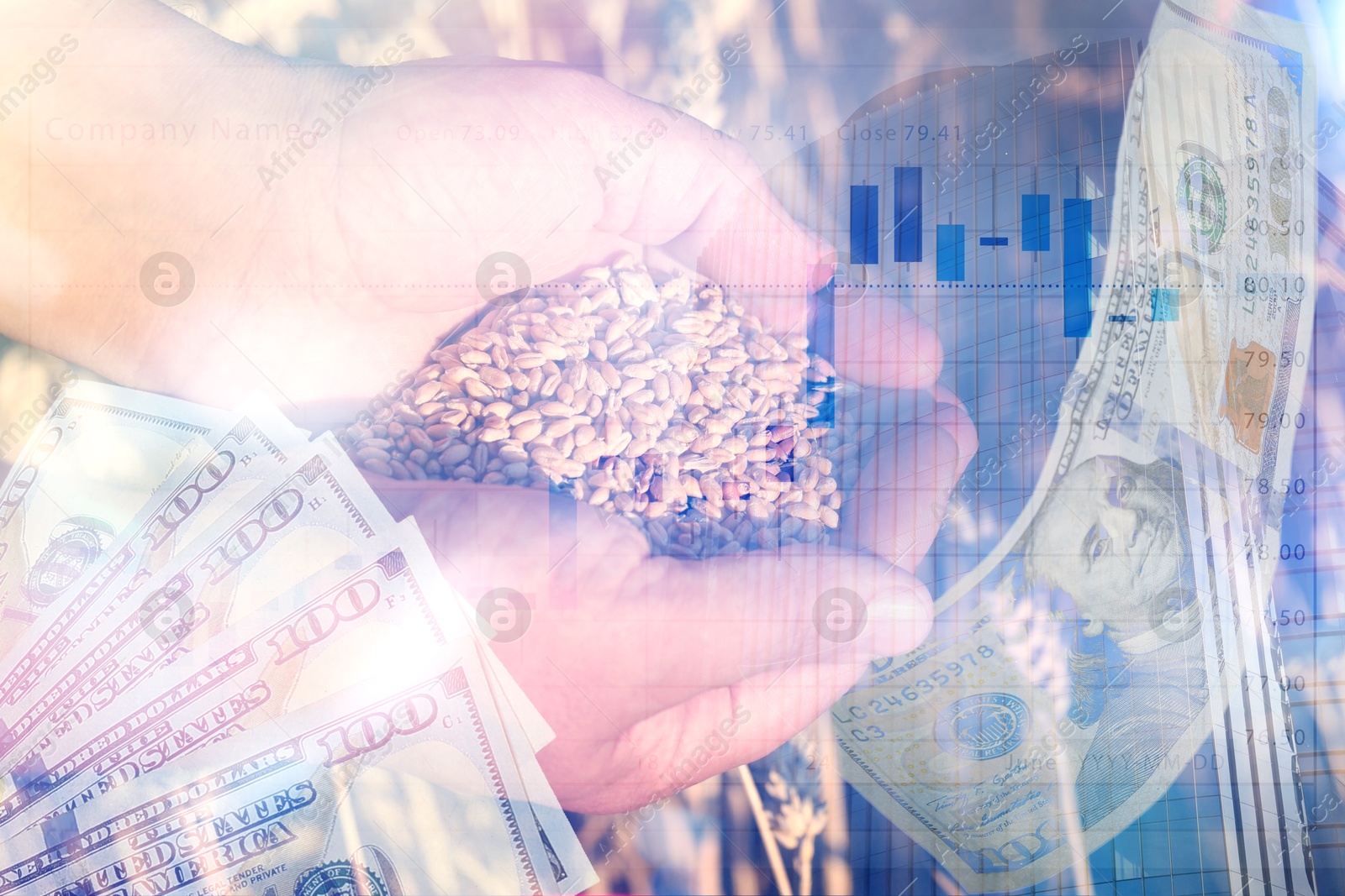 Image of Global grain crisis. Farmer with wheat seeds, dollar bills, office building and graph, multiple exposure