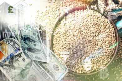 Image of Global grain crisis. Wheat seeds, dollar bills, office building, currency symbols and graph, multiple exposure