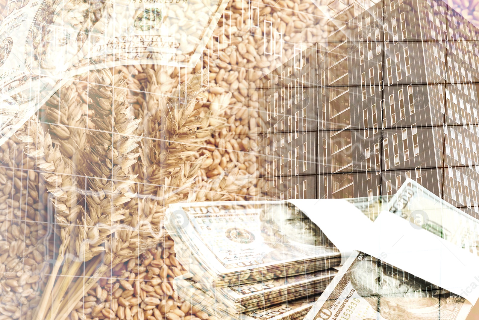 Image of Global grain crisis. Wheat ears, seeds, dollar bills and office building, multiple exposure