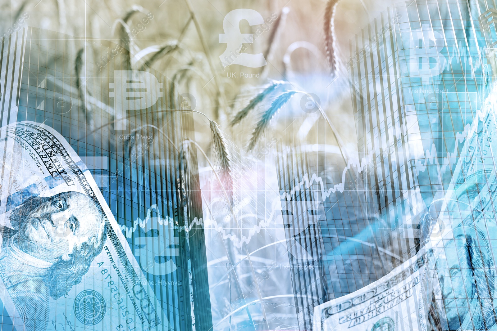 Image of Global grain crisis. Barley field, dollar bills, office building, currency symbols and graph, multiple exposure