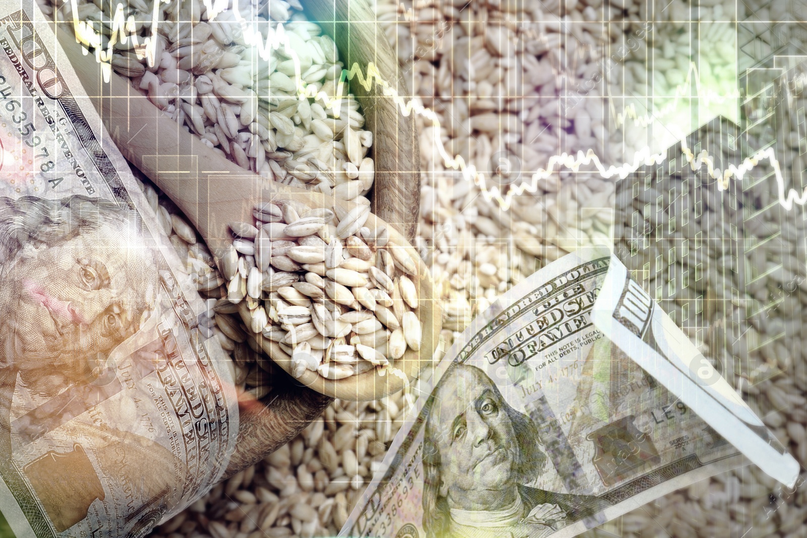 Image of Global grain crisis. Barley seeds, dollar bills, office building and graph, multiple exposure