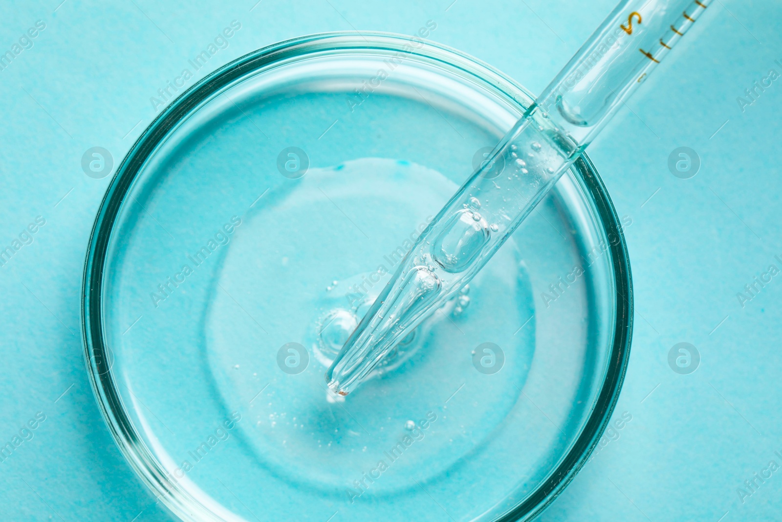 Photo of Glass pipette and petri dish with liquid on light blue background, top view