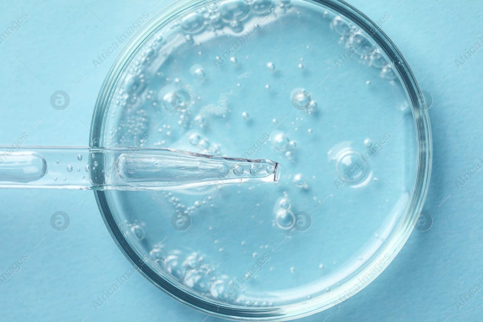 Photo of Glass pipette and petri dish with liquid on light blue background, top view