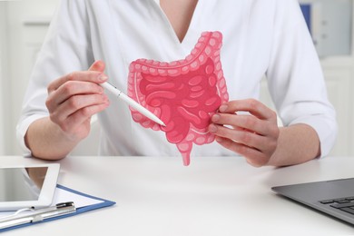 Doctor showing paper intestine cutout at white table in clinic, closeup