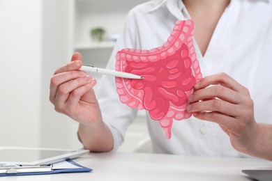 Doctor showing paper intestine cutout at white table in clinic, closeup